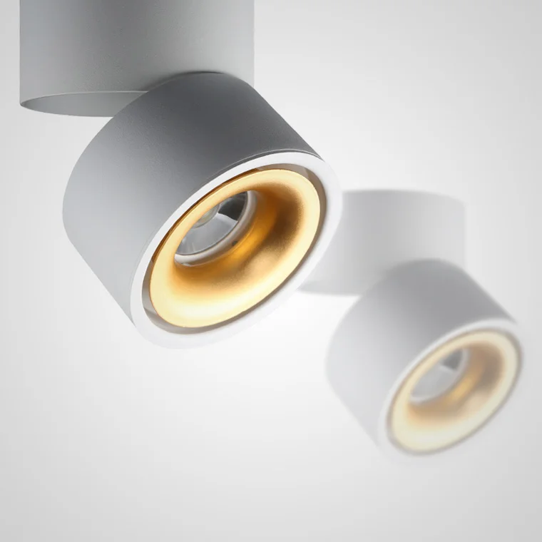 Потолочный светильник AGENDA White+Gold 10W - изображение 1