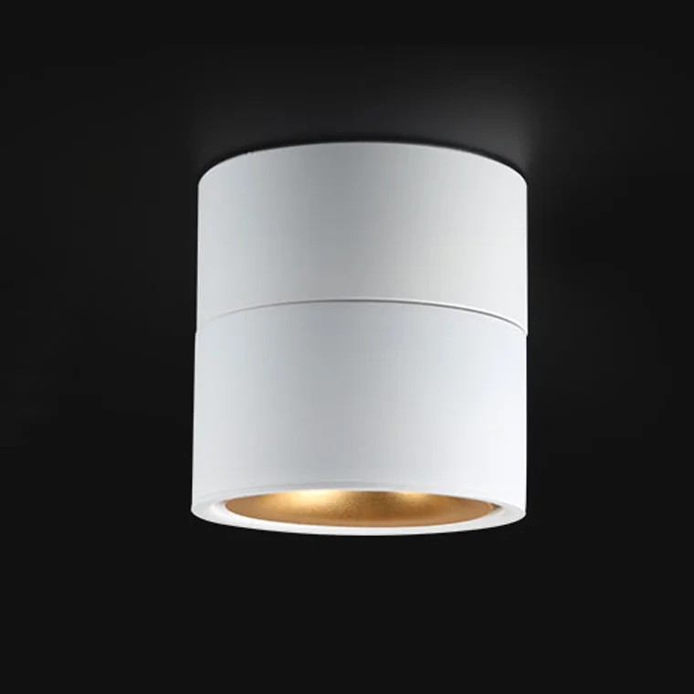 Потолочный светильник AGENDA White+Gold 10W - миниатюра 2