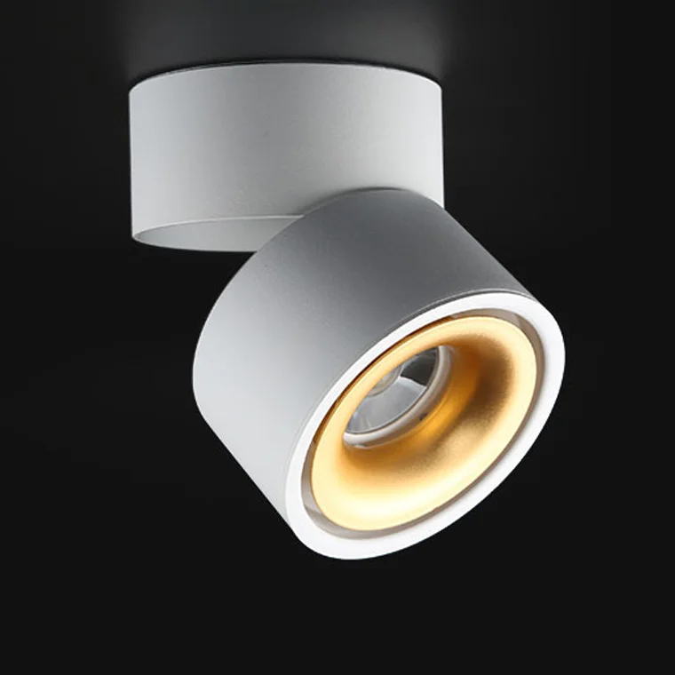 Потолочный светильник AGENDA White+Gold 10W - миниатюра 3