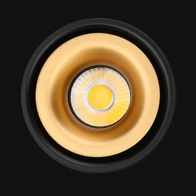 Потолочный светильник AGENDA White+Gold 10W - миниатюра 4