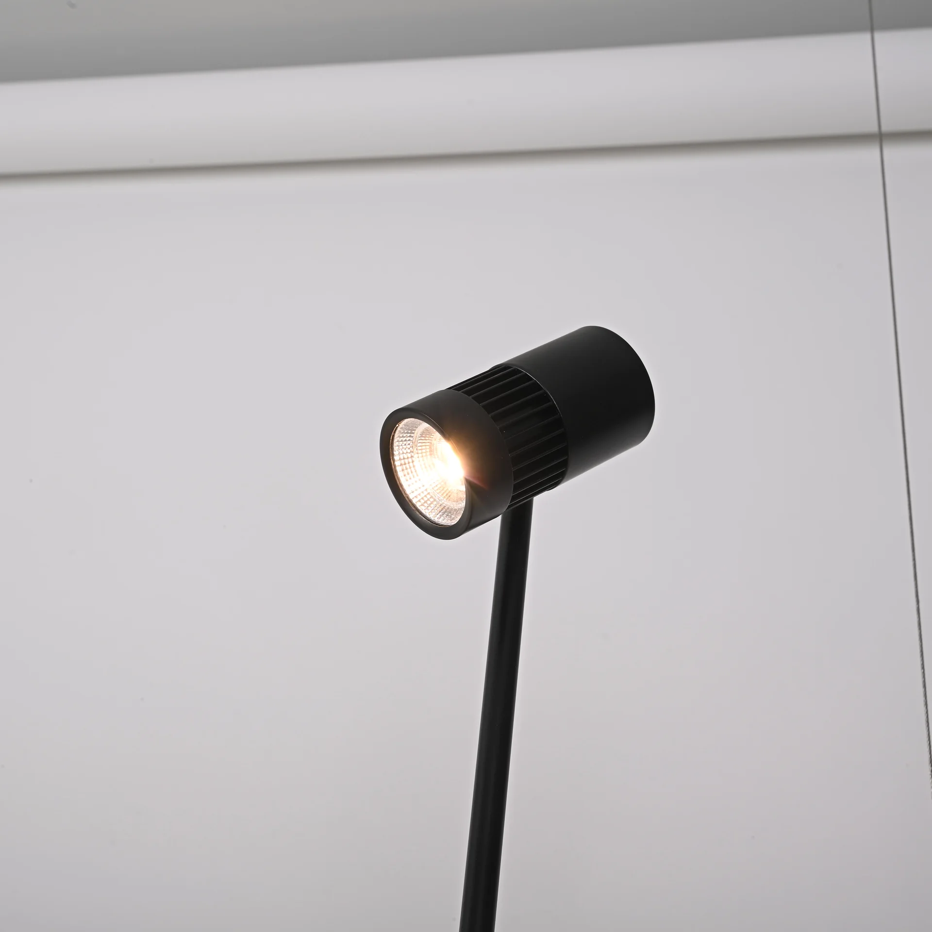 Реечный подвесной светильник PALMA Wall lamp 3 шара + 1 вазон горизонтальная - миниатюра 8