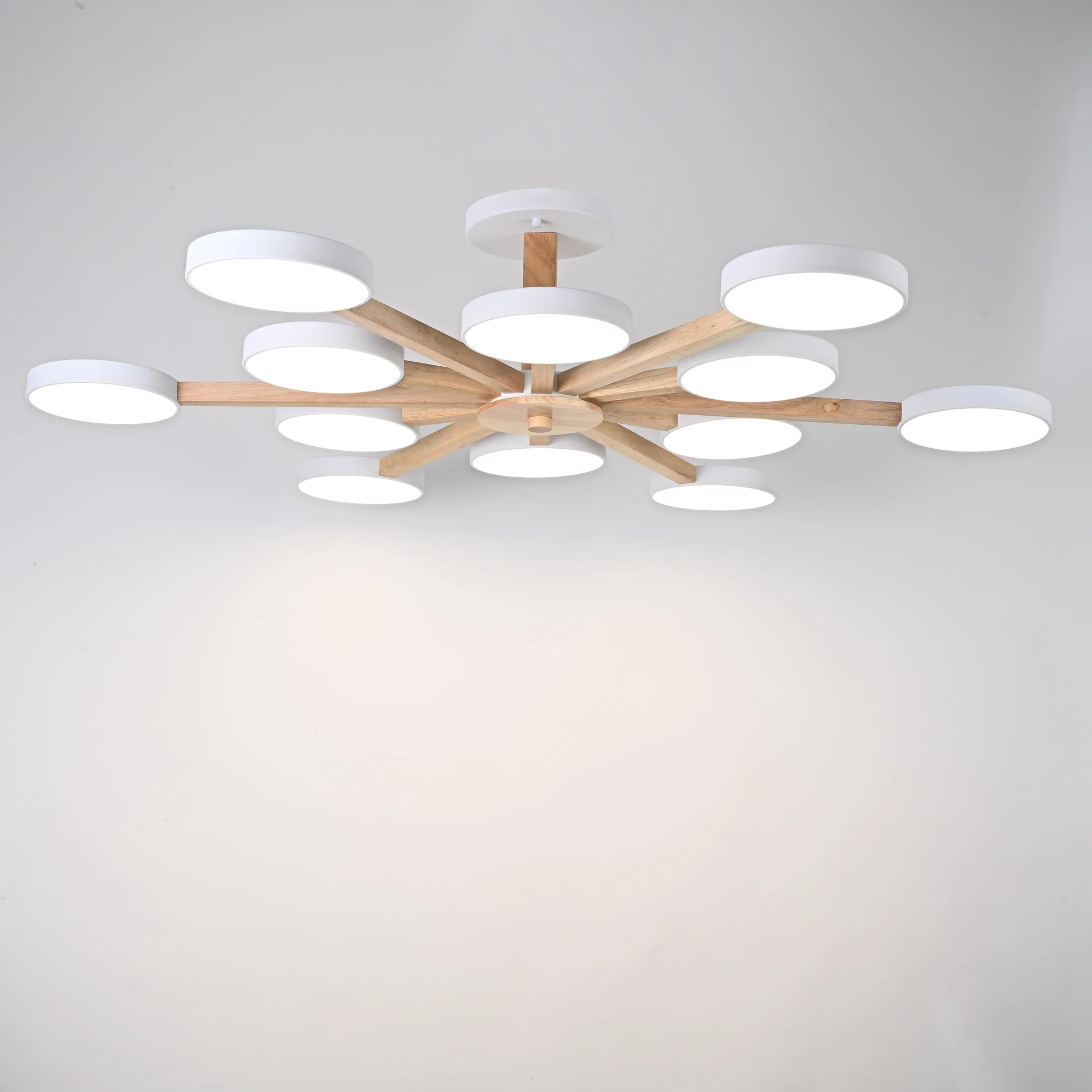 Потолочная люстра TURNA L12 White - миниатюра 3