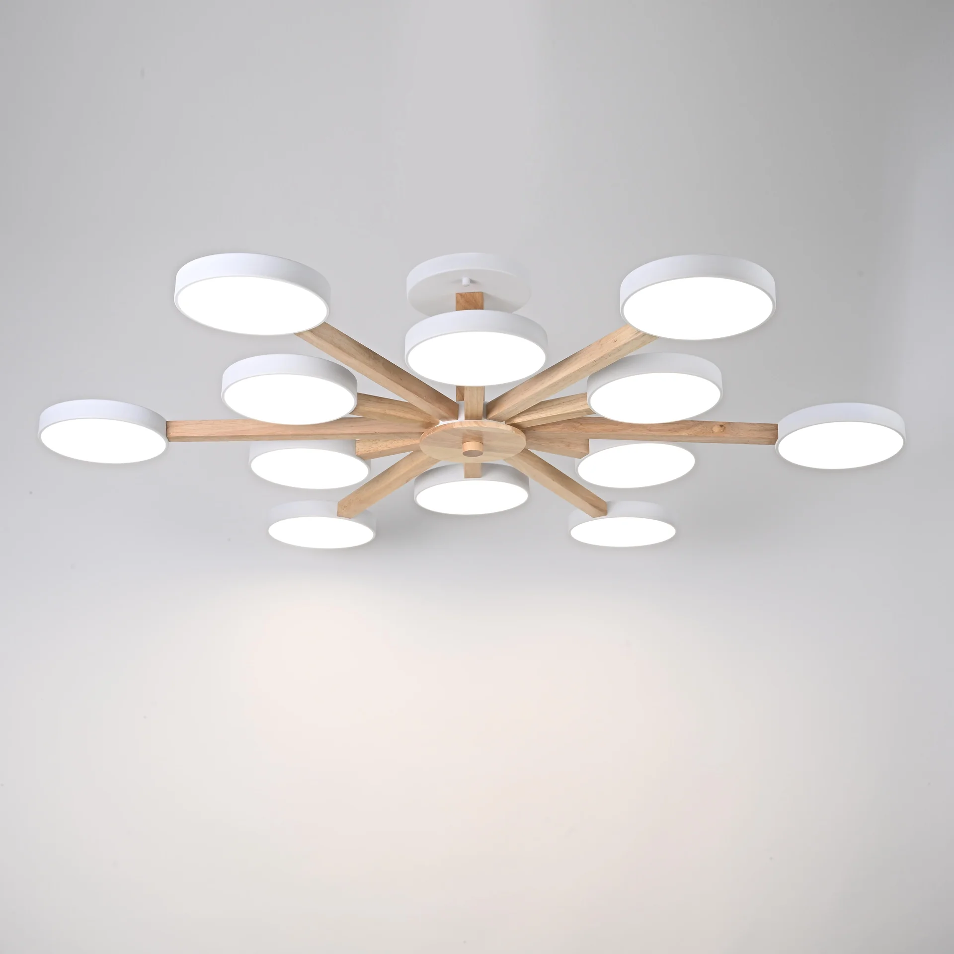 Потолочная люстра TURNA L12 White - миниатюра 4