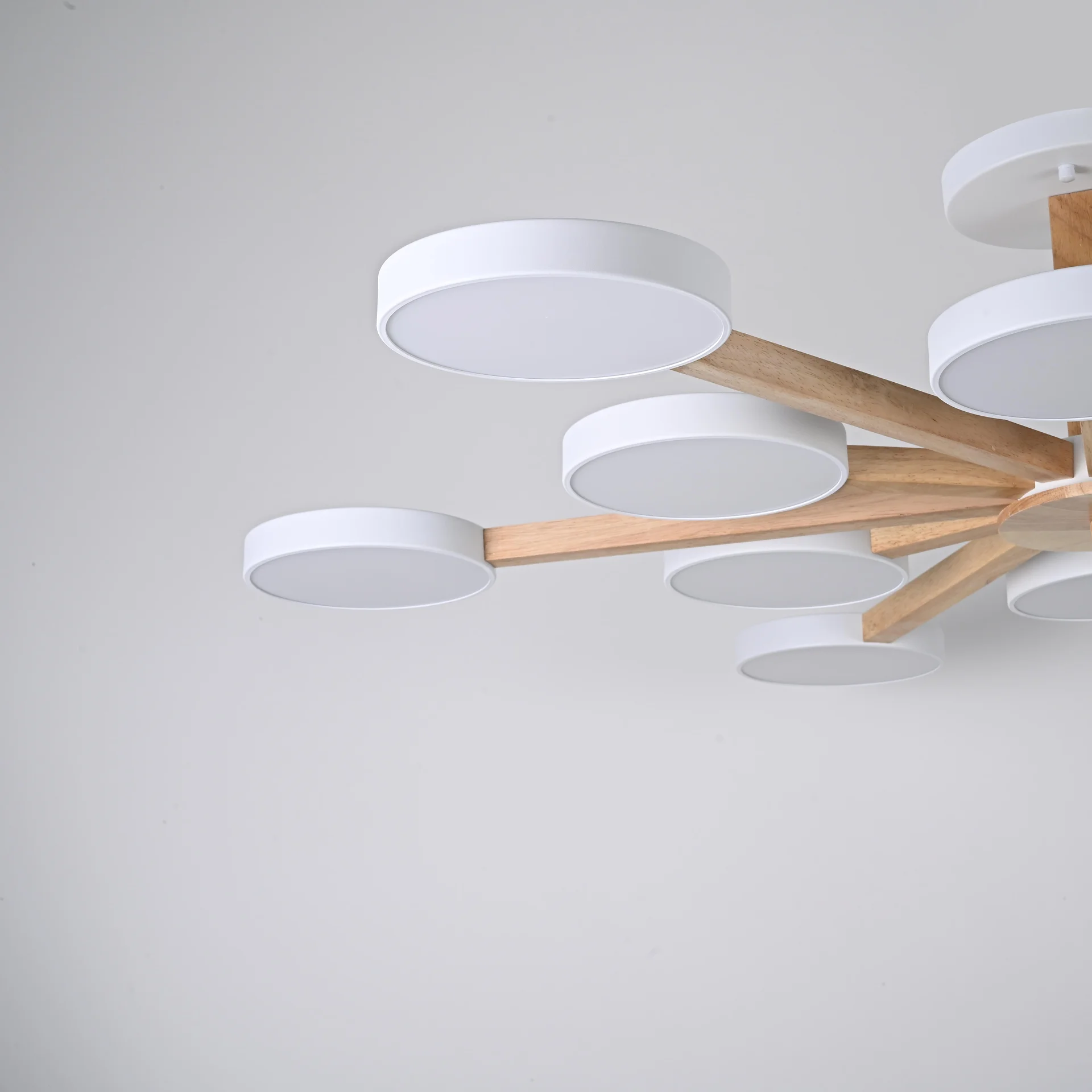 Потолочная люстра TURNA L12 White - миниатюра 6