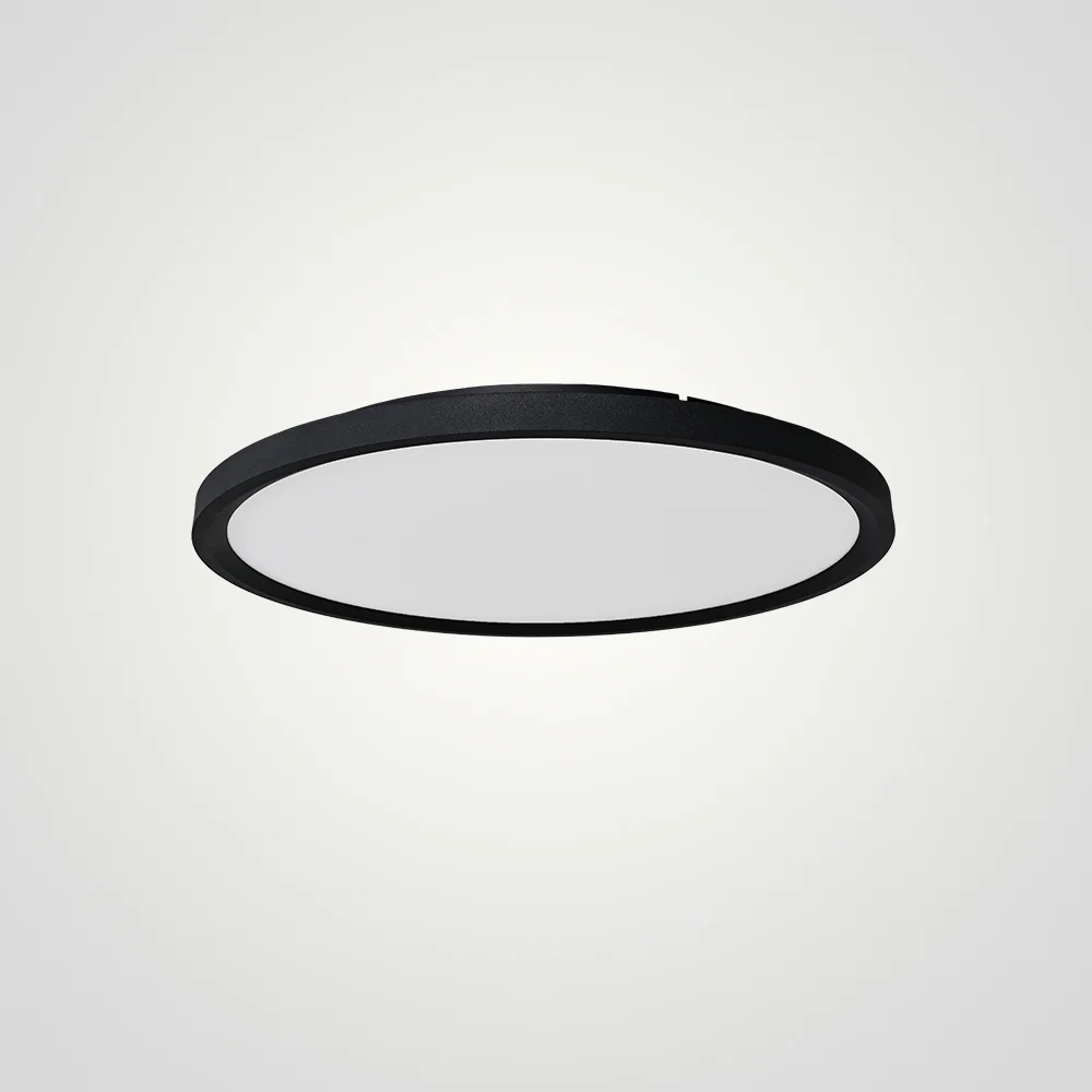 Потолочный светильник EXTRASLIM D50 Black - изображение 1