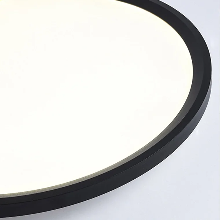 Потолочный светильник EXTRASLIM D100 White - миниатюра 26