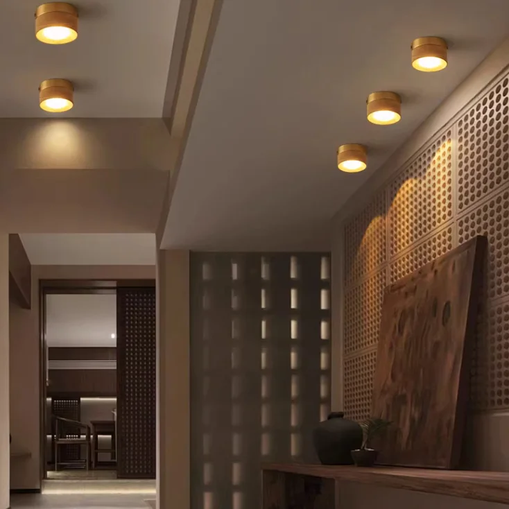 Точечный светильник WOODSPOT LIGHT Встраиваемый - миниатюра 7