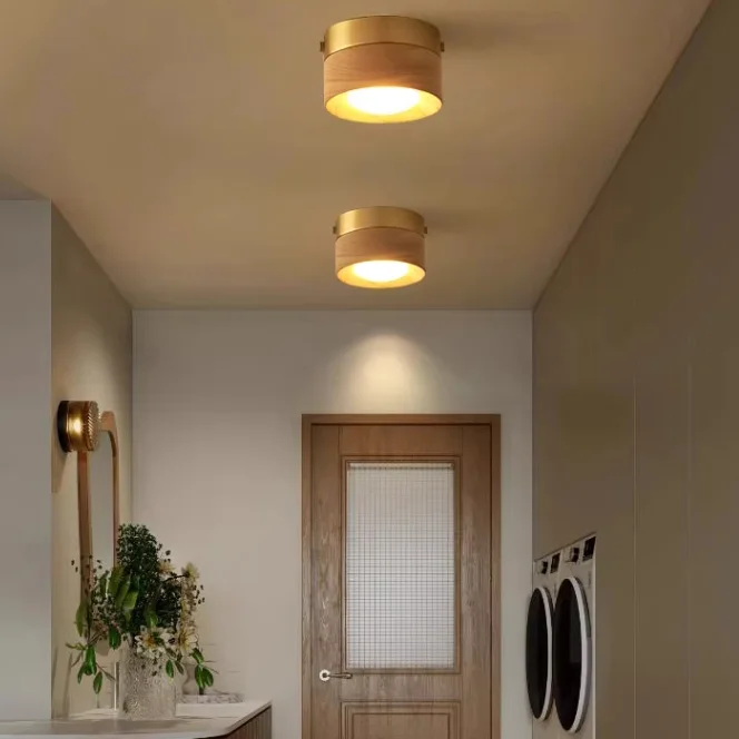 Точечный светильник WOODSPOT LIGHT Встраиваемый - миниатюра 9