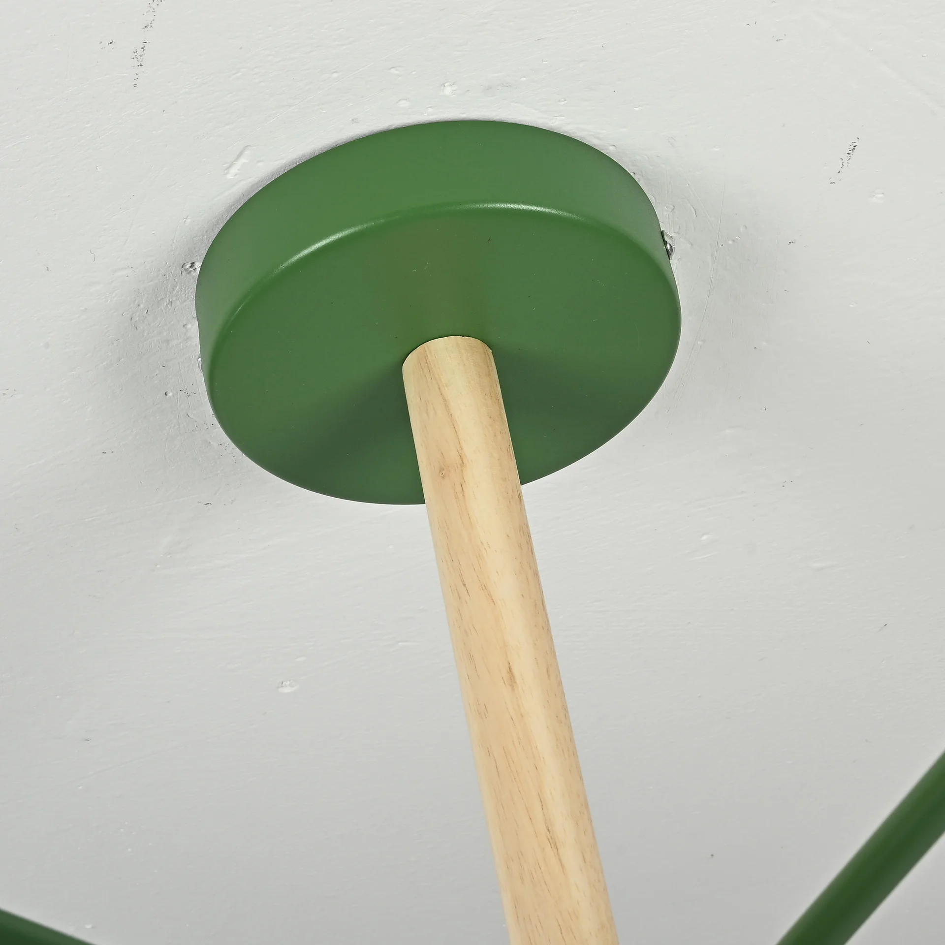 Потолочная люстра LES COLOR D80 Green - миниатюра 19