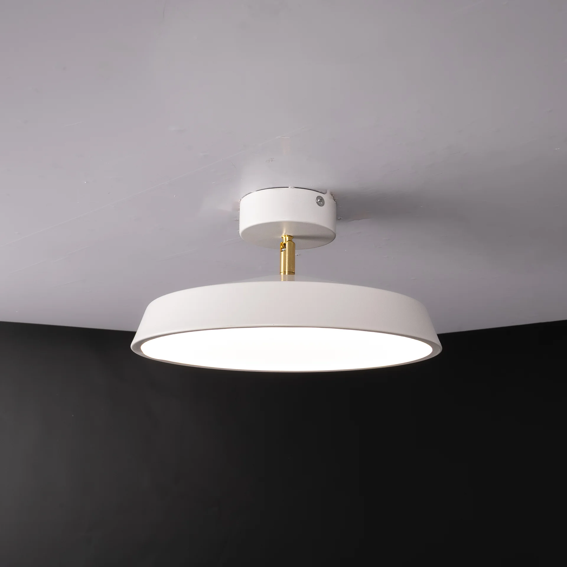Потолочный светильник BIRK D30 White - миниатюра 2