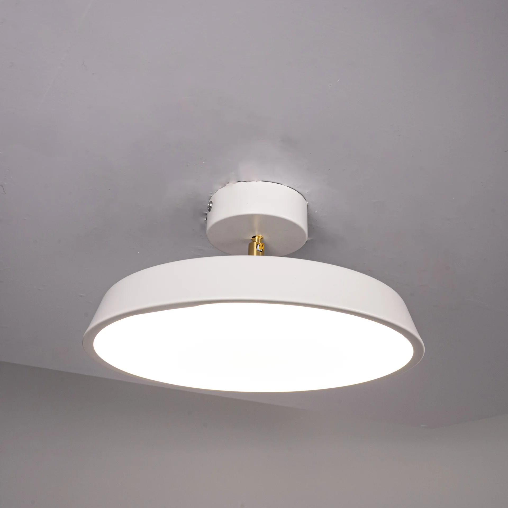 Потолочный светильник BIRK D30 White - миниатюра 3