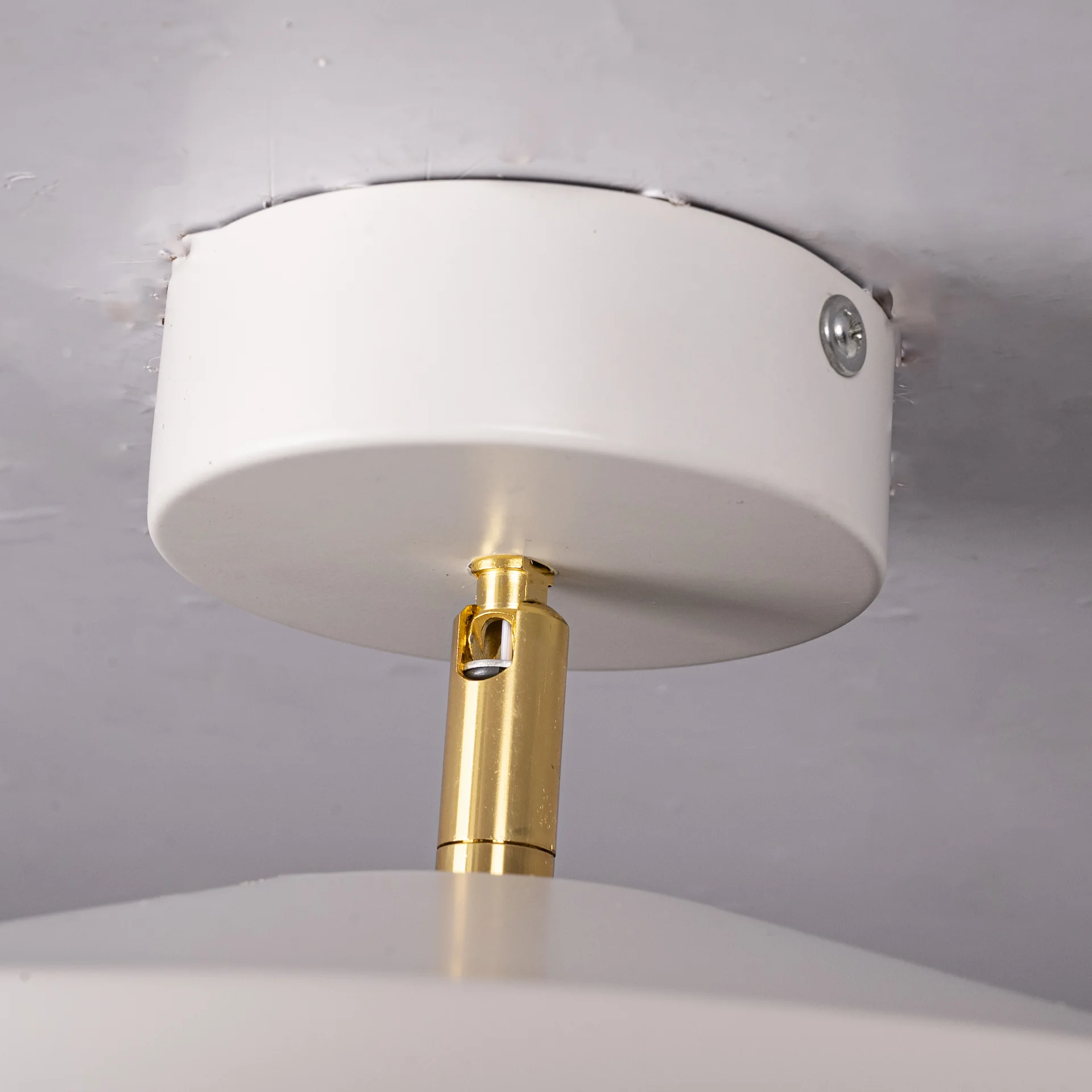 Потолочный светильник BIRK D30 White - миниатюра 4