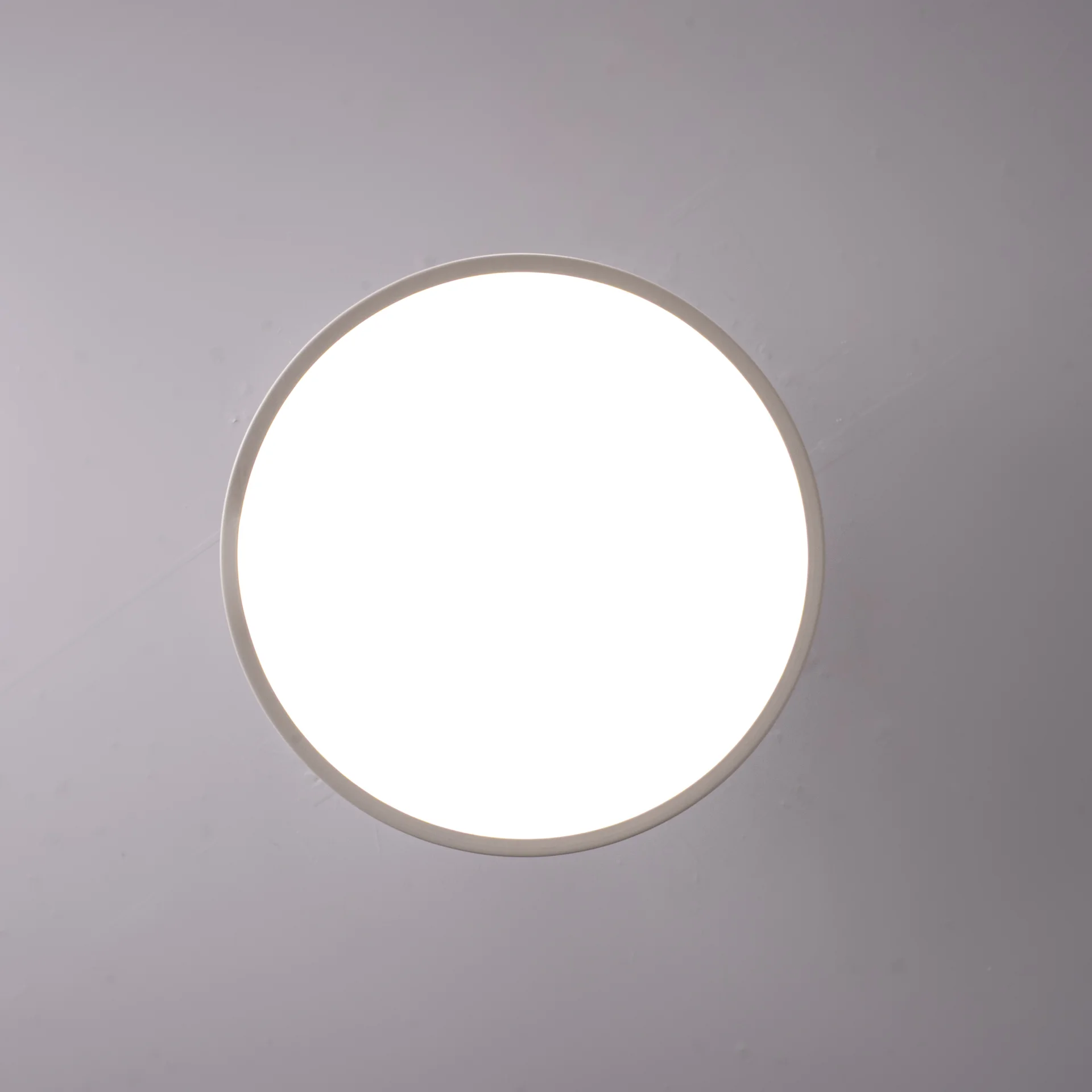 Потолочный светильник BIRK D30 White - миниатюра 5