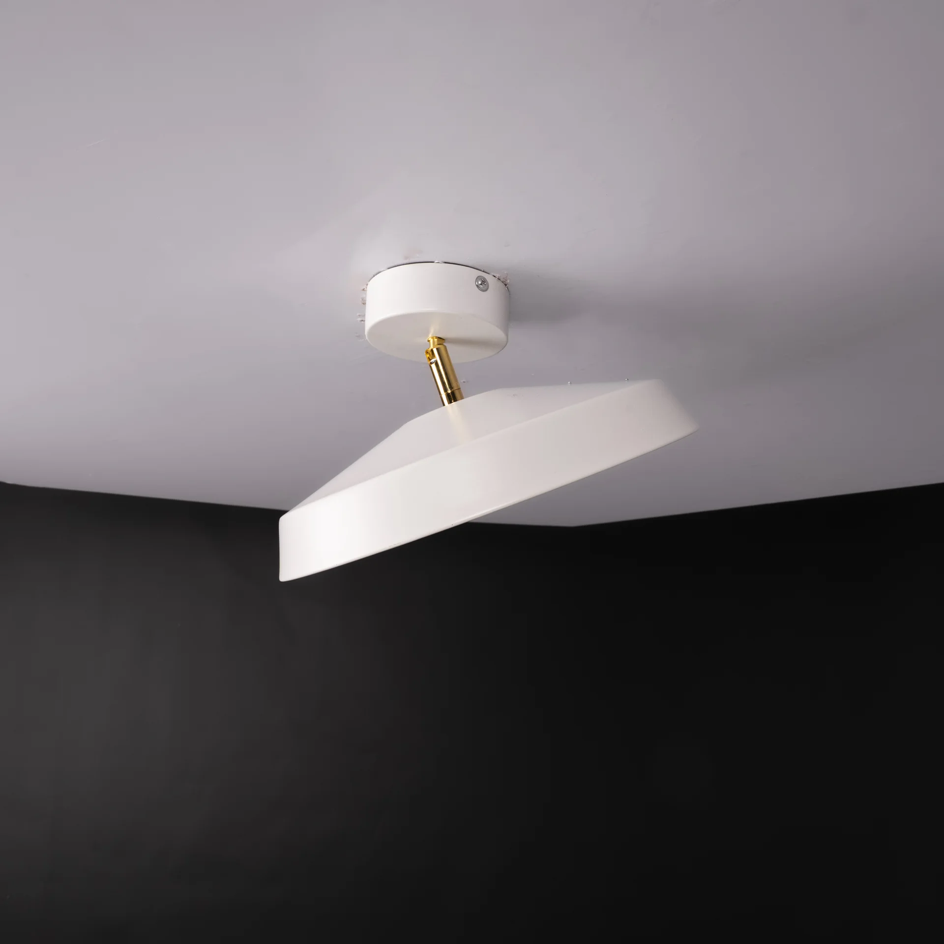 Потолочный светильник BIRK D30 White - миниатюра 7