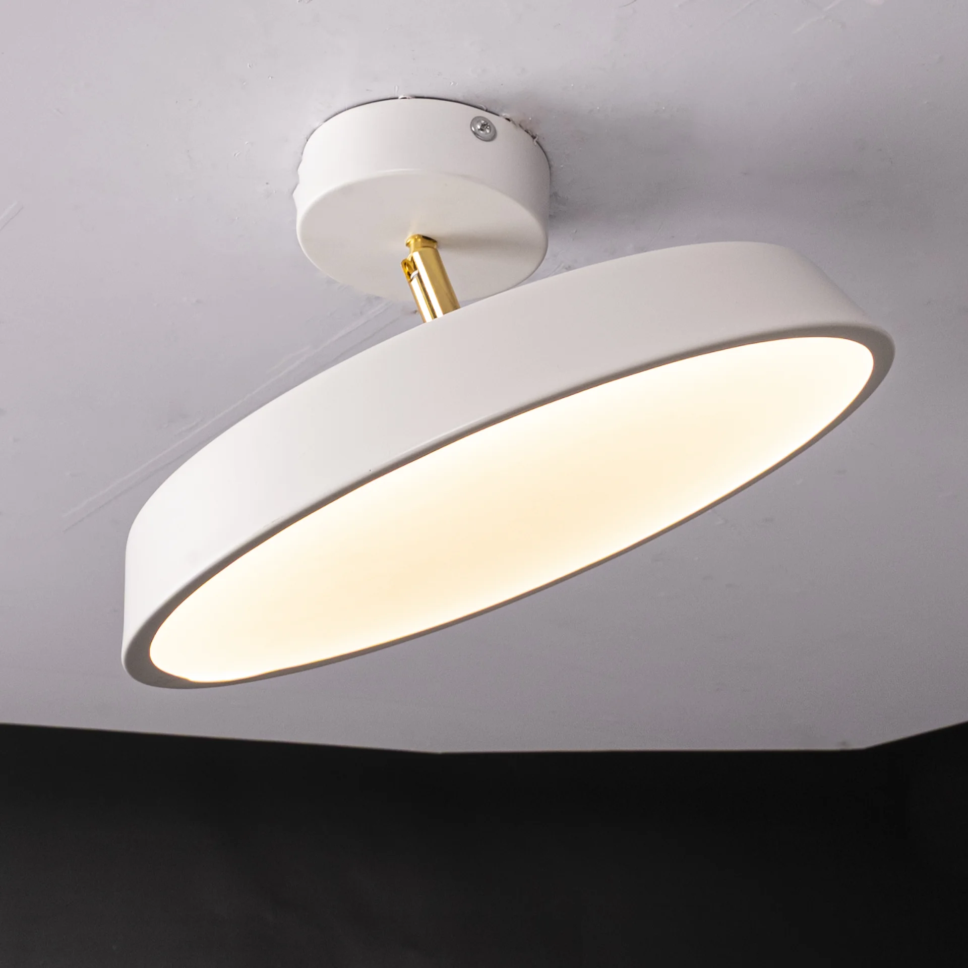 Потолочный светильник BIRK D30 White - миниатюра 8