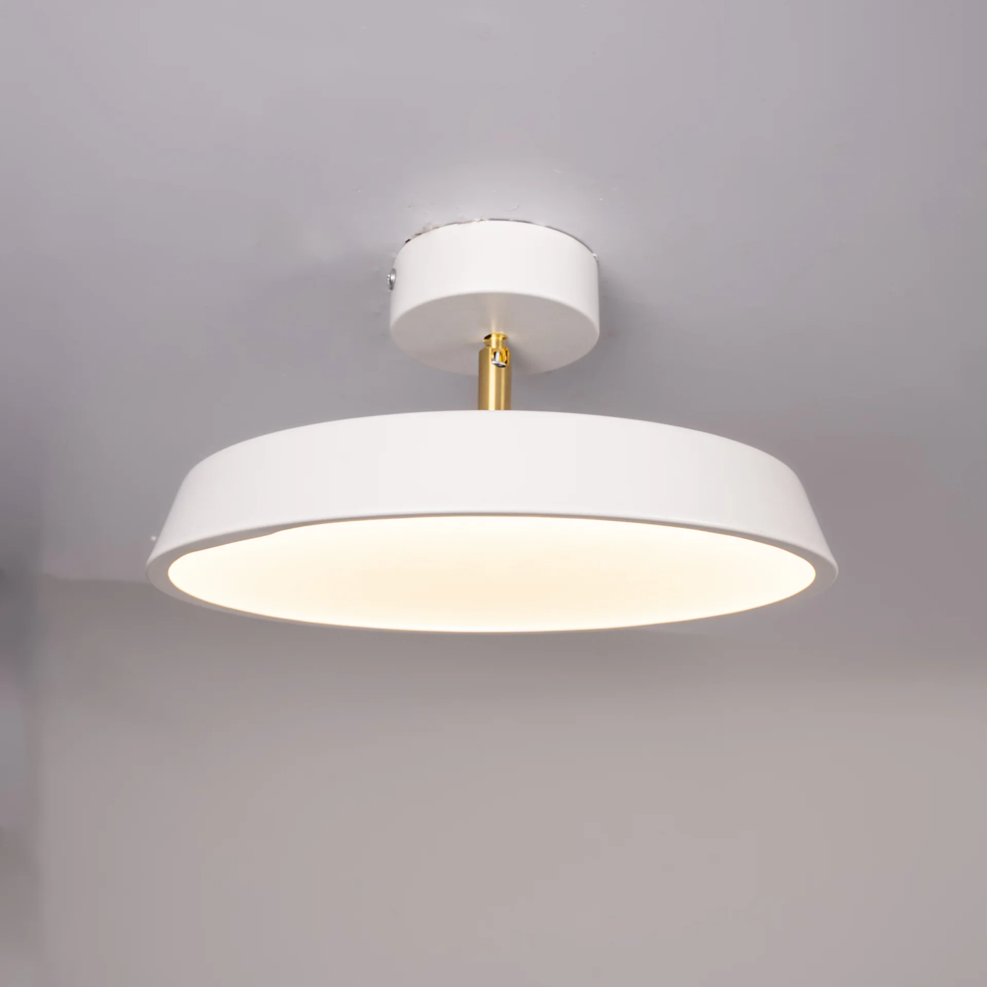 Потолочный светильник BIRK D30 White - миниатюра 9