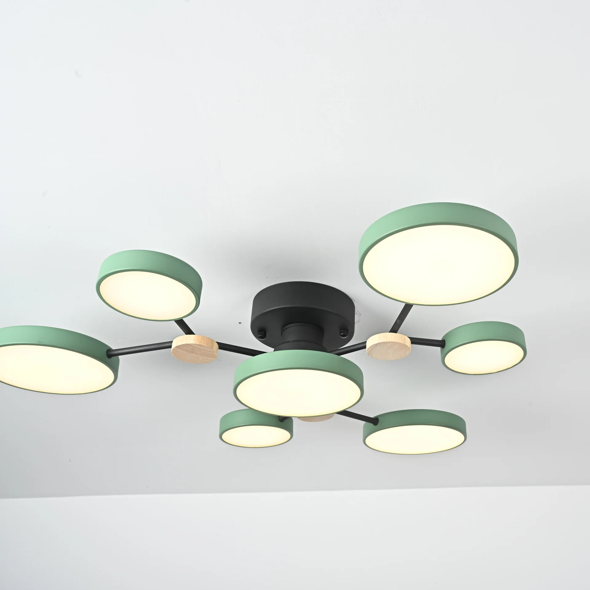 Потолочная люстра GAMMA D88 Green - миниатюра 6