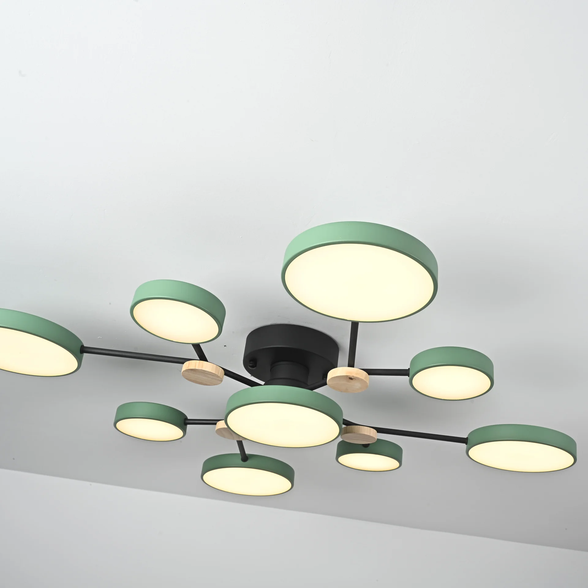 Потолочная люстра GAMMA D98 Green - миниатюра 13