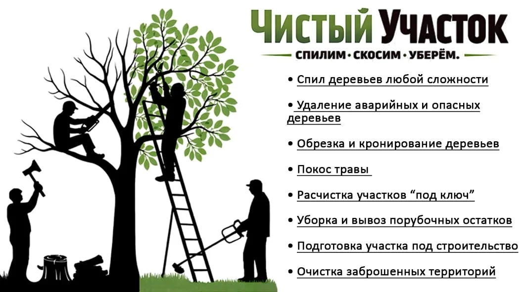 Расчистка участка - миниатюра 2