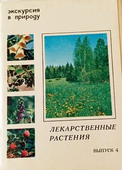 Набор открыток - лекарственные травы - изображение 1