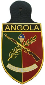 Знак общевойсковой школы армии Анголы - изображение 1