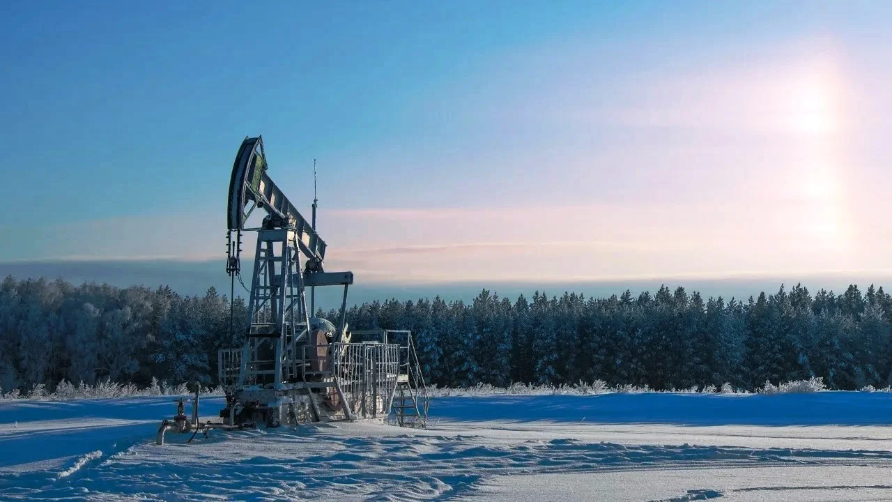 Продажа нефтегазового месторождения в ЯМАЛ - изображение 1