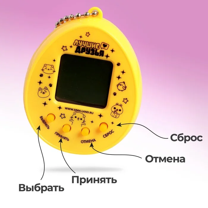 Электронная игра Возьми меня к себе - миниатюра 5