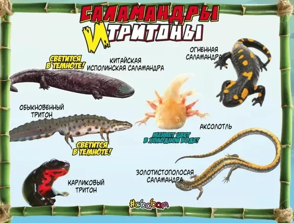 Игрушка Саламандры и тритоны в ассортименте - миниатюра 3