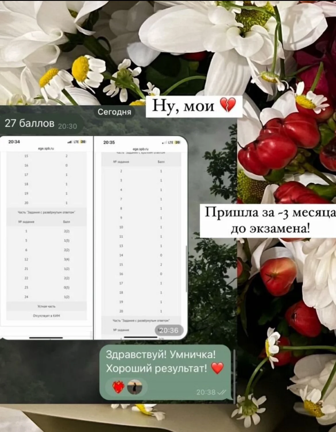 ЕГЭ ОГЭ обществознание - миниатюра 3