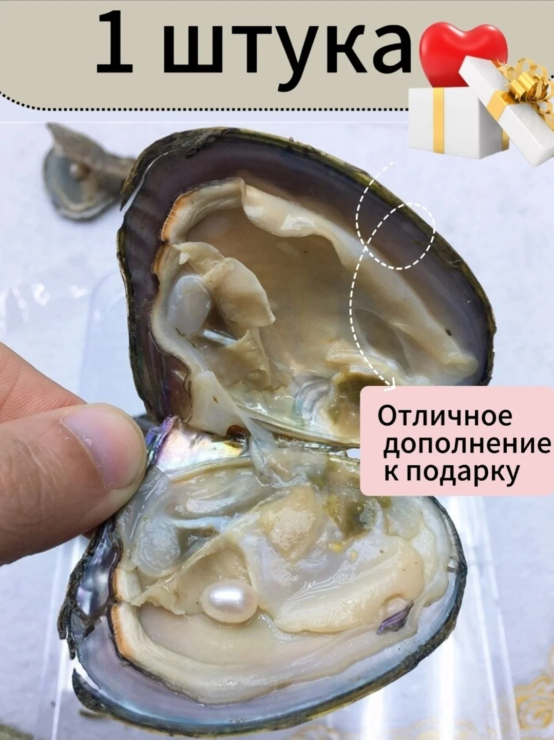 РАКУШКА С ЖЕМЧУЖИНОЙ - изображение 1