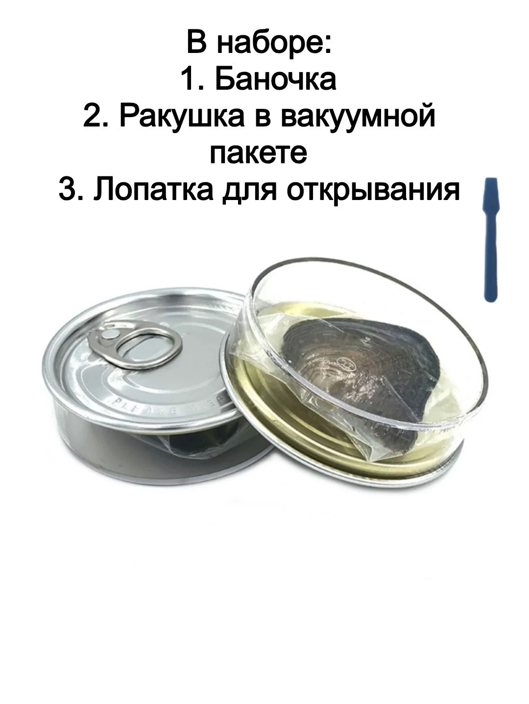 РАКУШКА С ЖЕМЧУЖИНОЙ - миниатюра 6