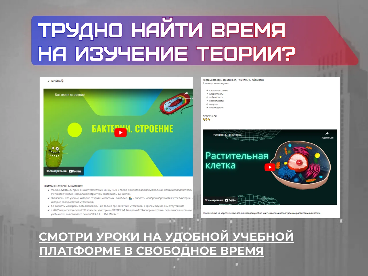 Репетитор по биологии ЕГЭ, ОГЭ - миниатюра 2