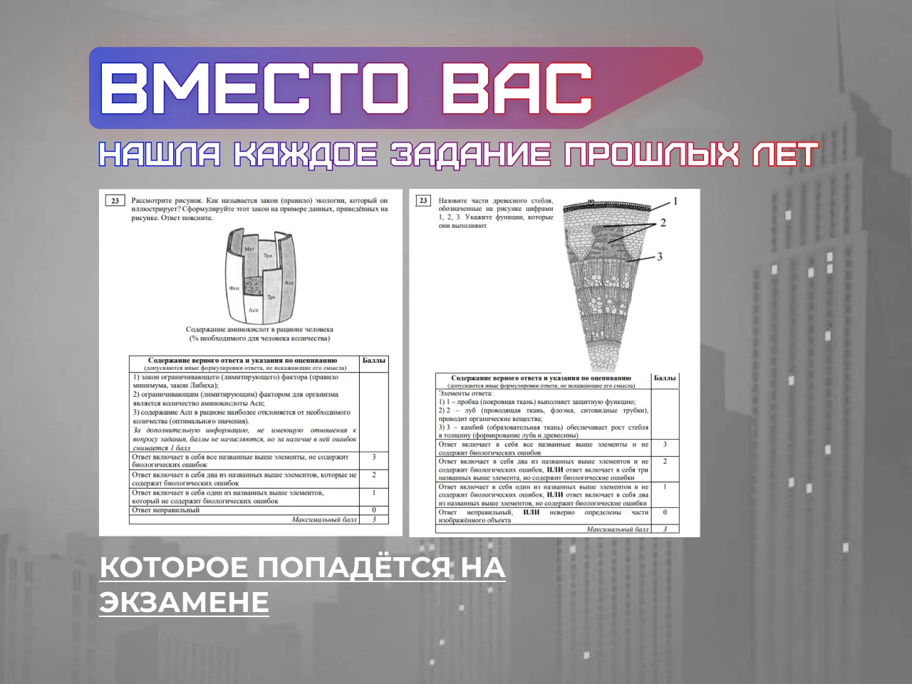 Репетитор по биологии ЕГЭ, ОГЭ - миниатюра 6