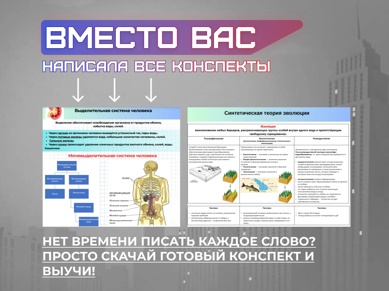 Репетитор по биологии ЕГЭ ОГЭ - миниатюра 4