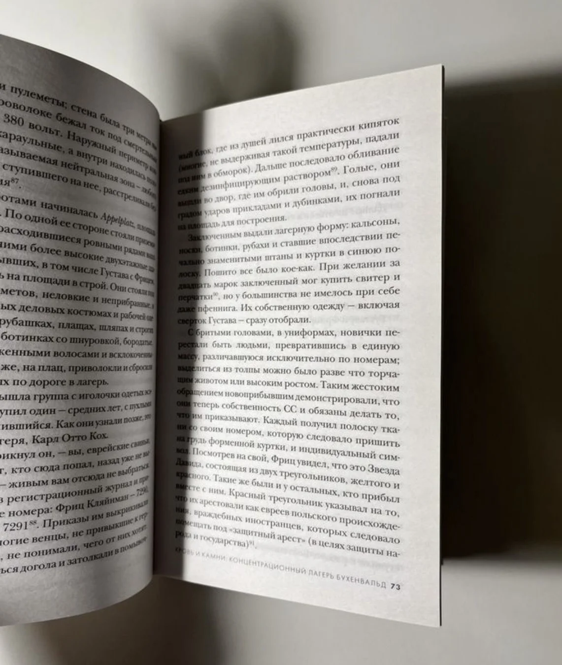 Книга « мальчик который пошёл в Освенцим вслед за - миниатюра 2