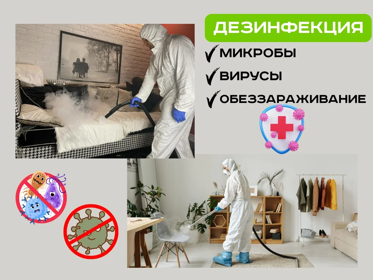 Дезинфекция Уничтожение тараканов, клопов, плесени, клещей, - миниатюра 3