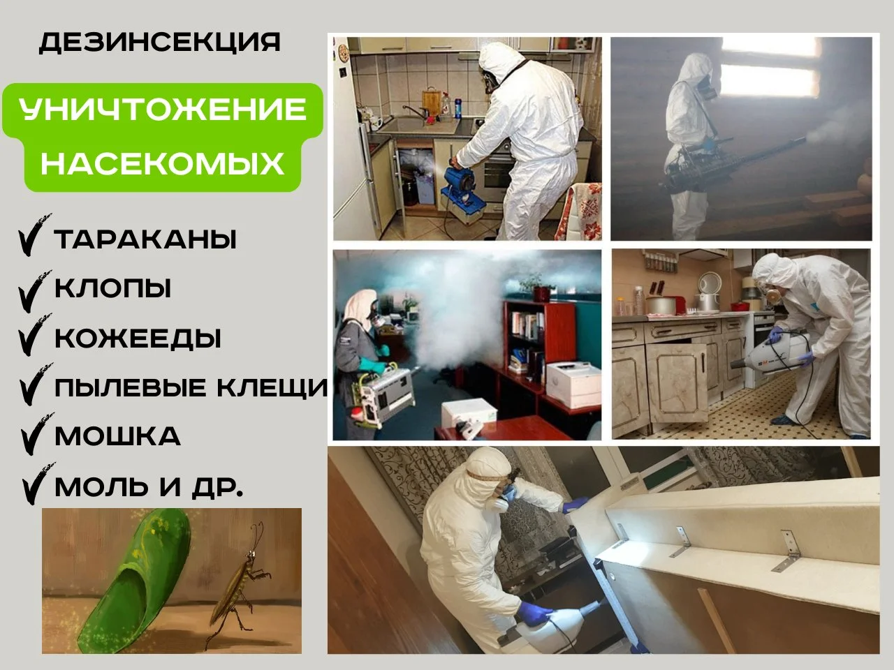 Дезинфекция Уничтожение тараканов, клопов, плесени, клещей, - миниатюра 4