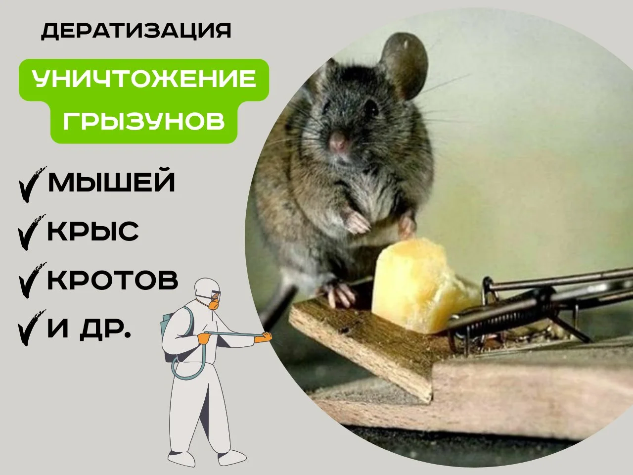 Дезинфекция Уничтожение тараканов, клопов, плесени, клещей, - миниатюра 6
