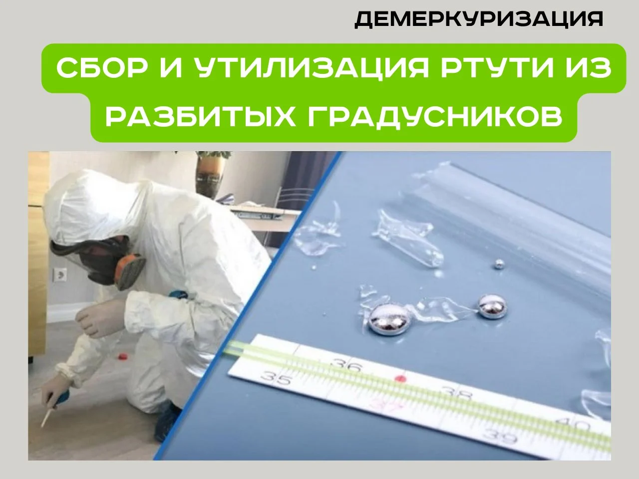 Дезинфекция Уничтожение тараканов, клопов, плесени, клещей, - миниатюра 8