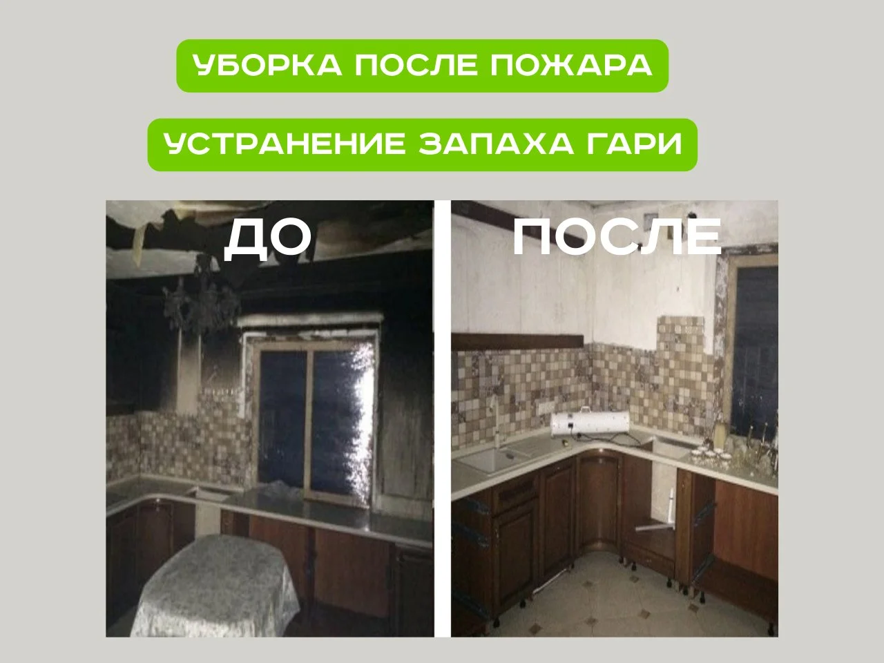 Дезинфекция Уничтожение тараканов, клопов, плесени, клещей, - миниатюра 10