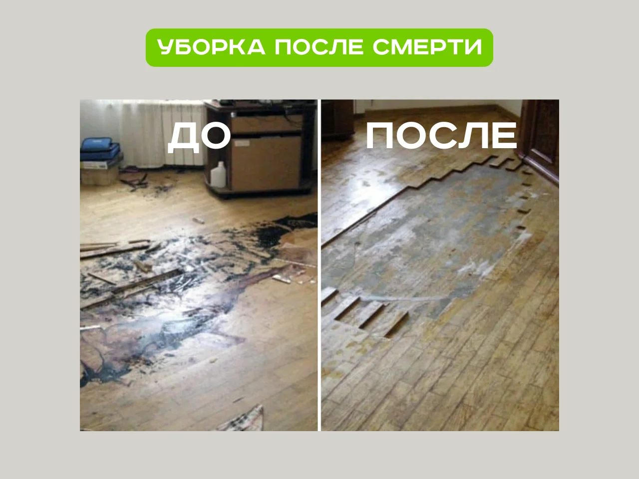 Дезинфекция Уничтожение тараканов, клопов, плесени, клещей, - миниатюра 11