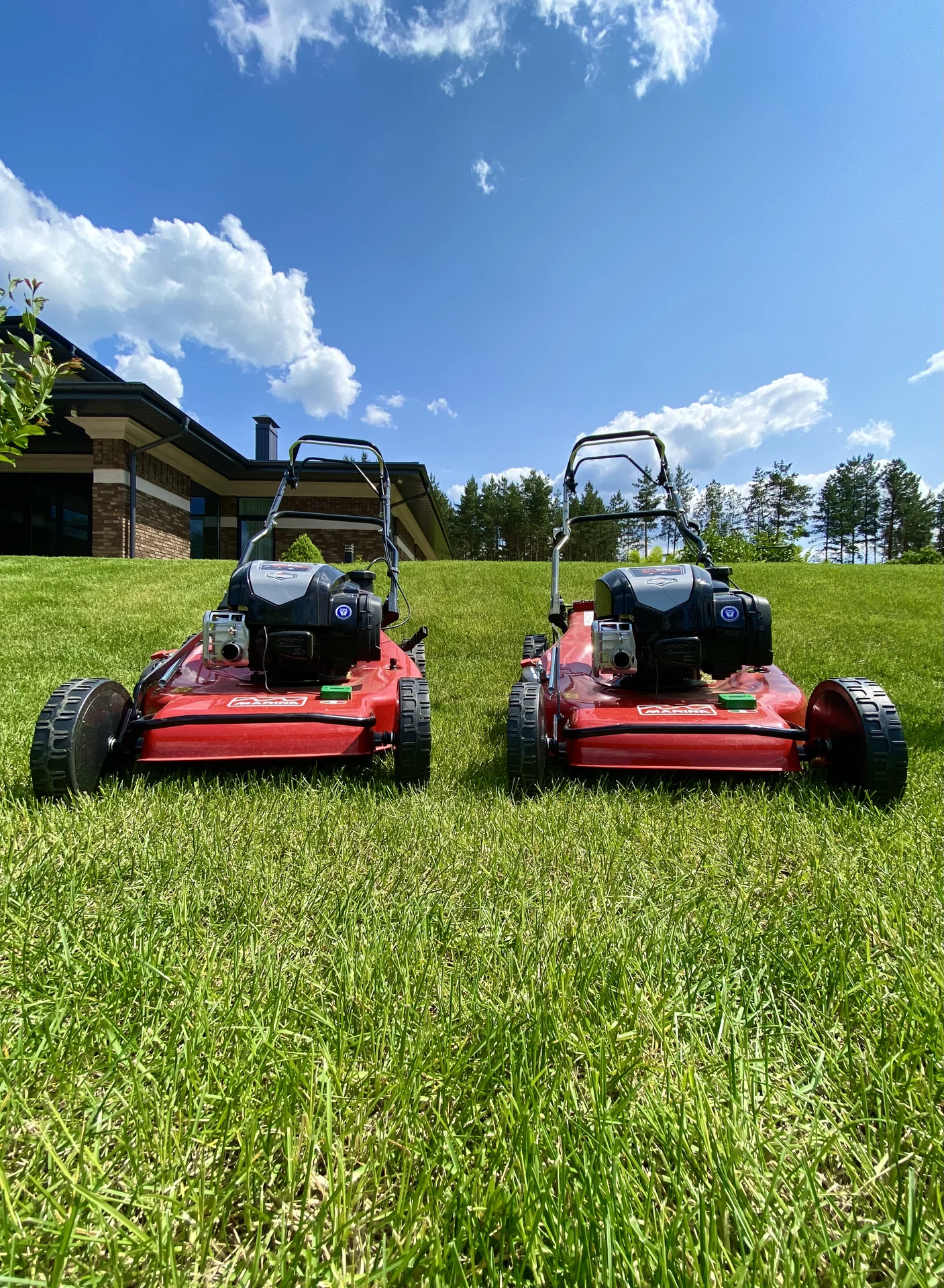 Экспертный уход за газоном, ландшафтный дизайн - миниатюра 43