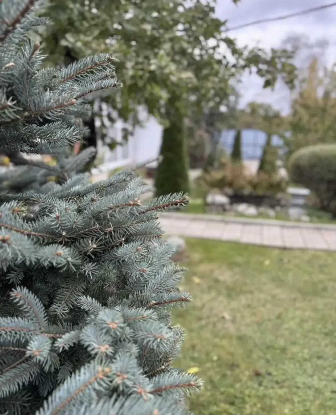 Сдам загородный дом на лето - миниатюра 17