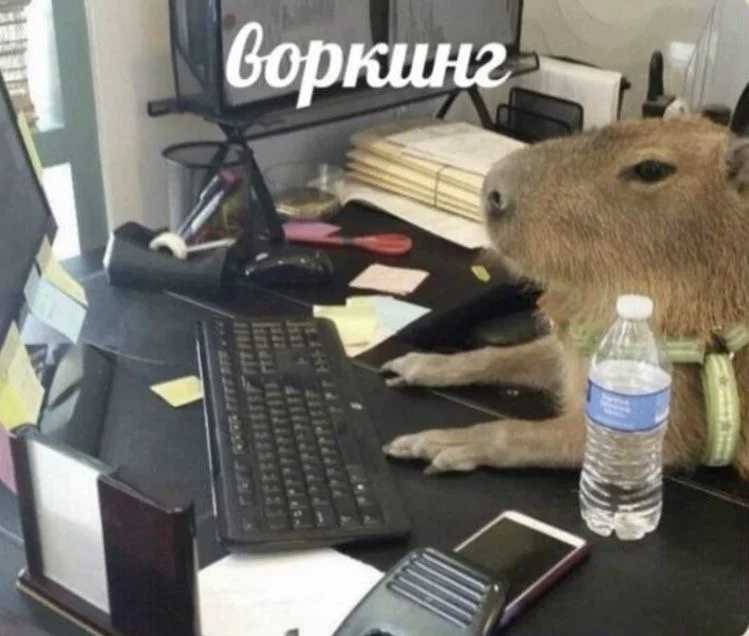 Парсинг сайтов / Сбор данных - миниатюра 5