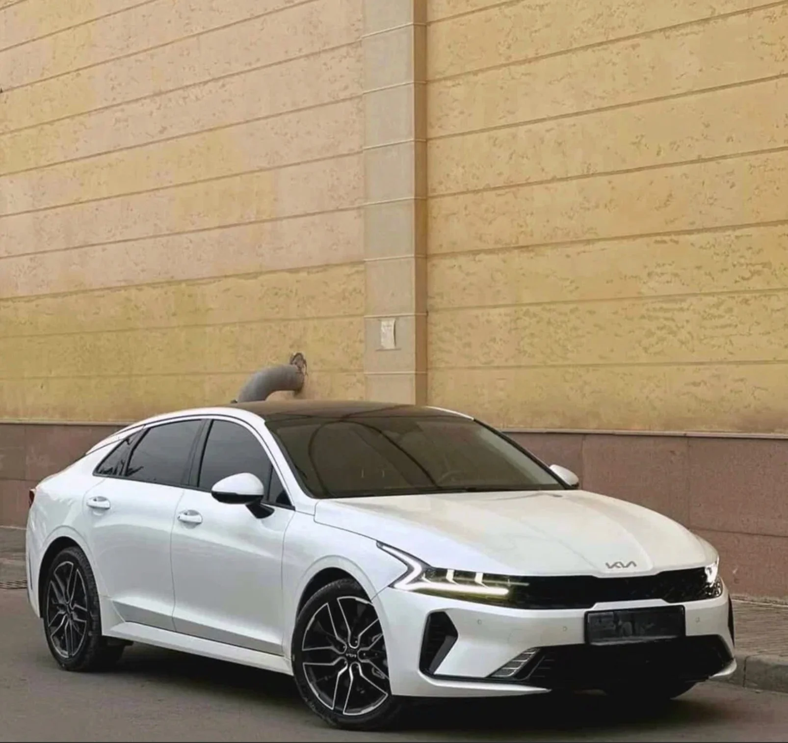Kia K5 - миниатюра 3