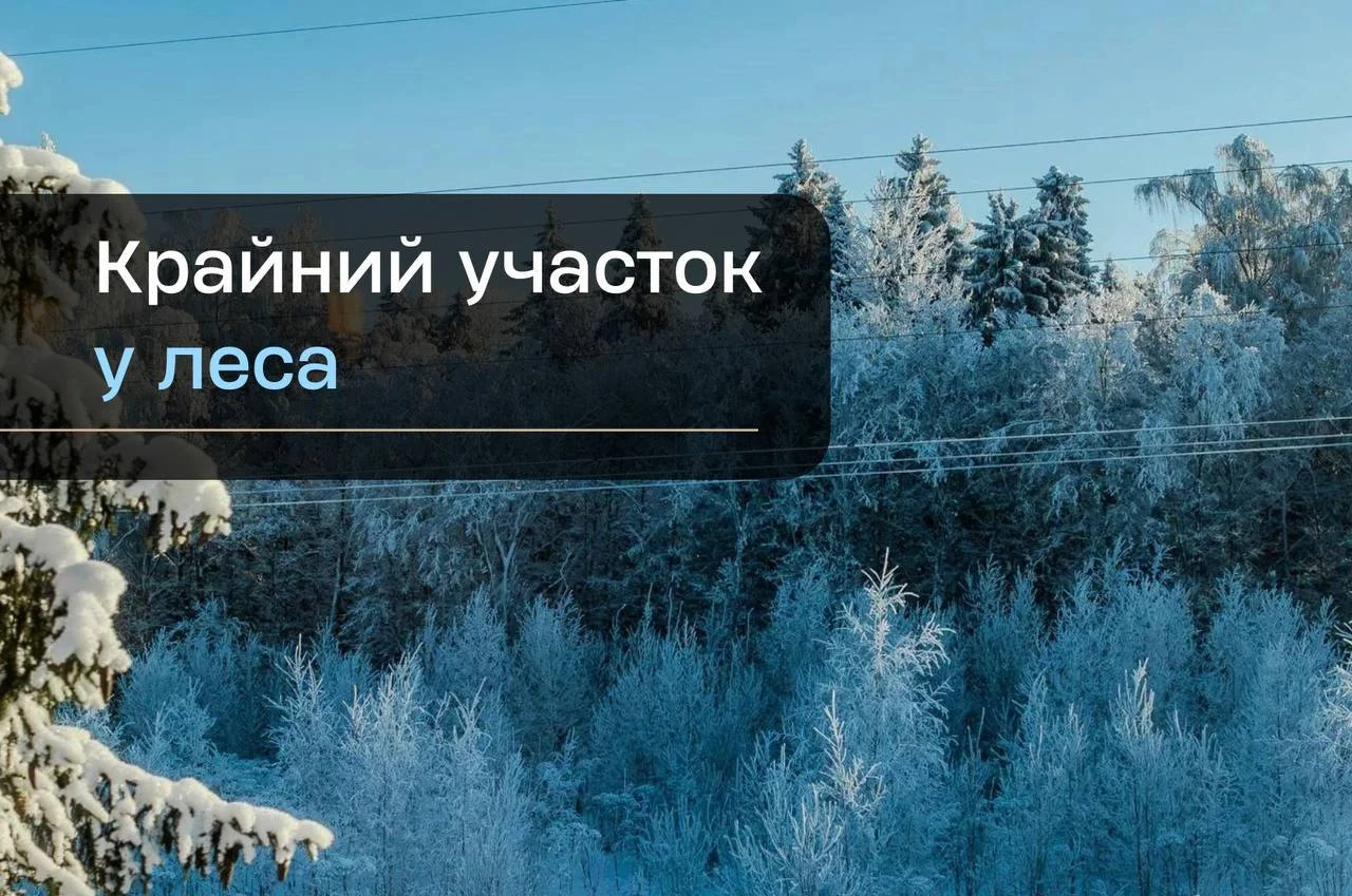 3 дома на участке 25 соток - миниатюра 2