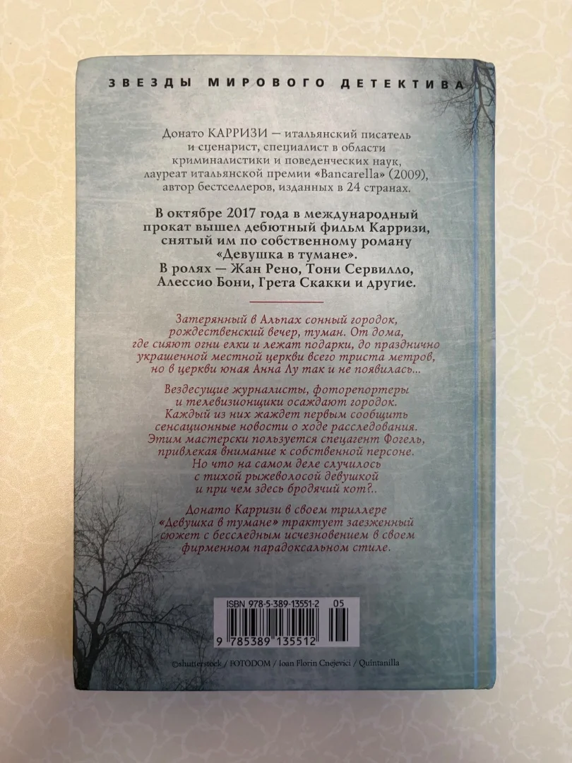 Книги Аэропорт, Девушка в тумане - миниатюра 5