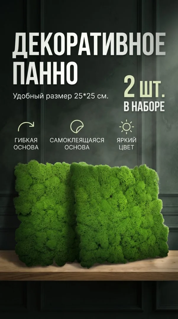 Панно из стабилизированного мха Ягель, Настенное Панно размер 25*25 см, для озеленения интерьера. - миниатюра 2