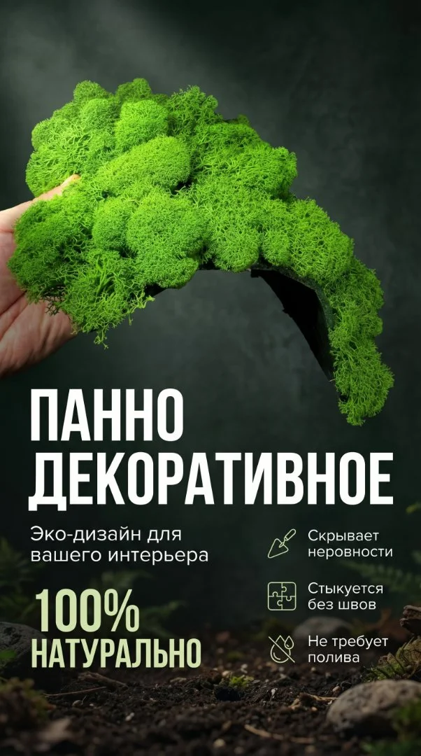 Панно из стабилизированного мха Ягель, Настенное Панно размер 25*25 см, для озеленения интерьера. - миниатюра 3