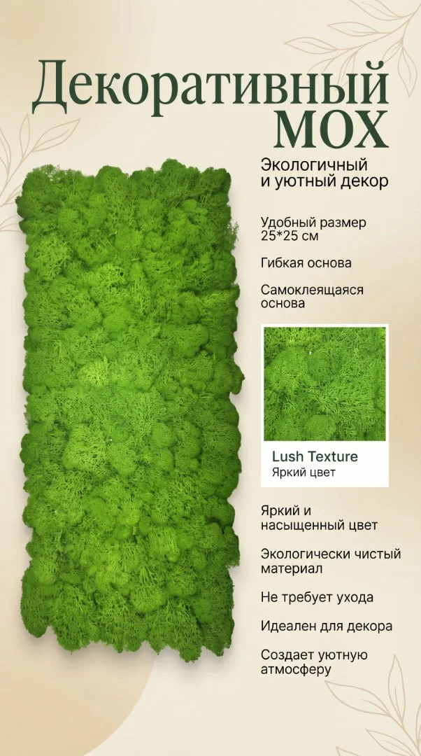Панно из стабилизированного мха Ягель, Настенное Панно размер 25*25 см, для озеленения интерьера. - миниатюра 4